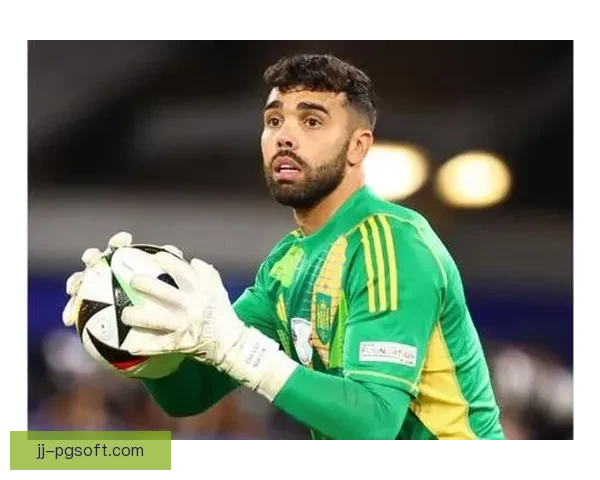 阿森纳4500万欧元正式买断大卫拉亚门将位置长期答案浮现